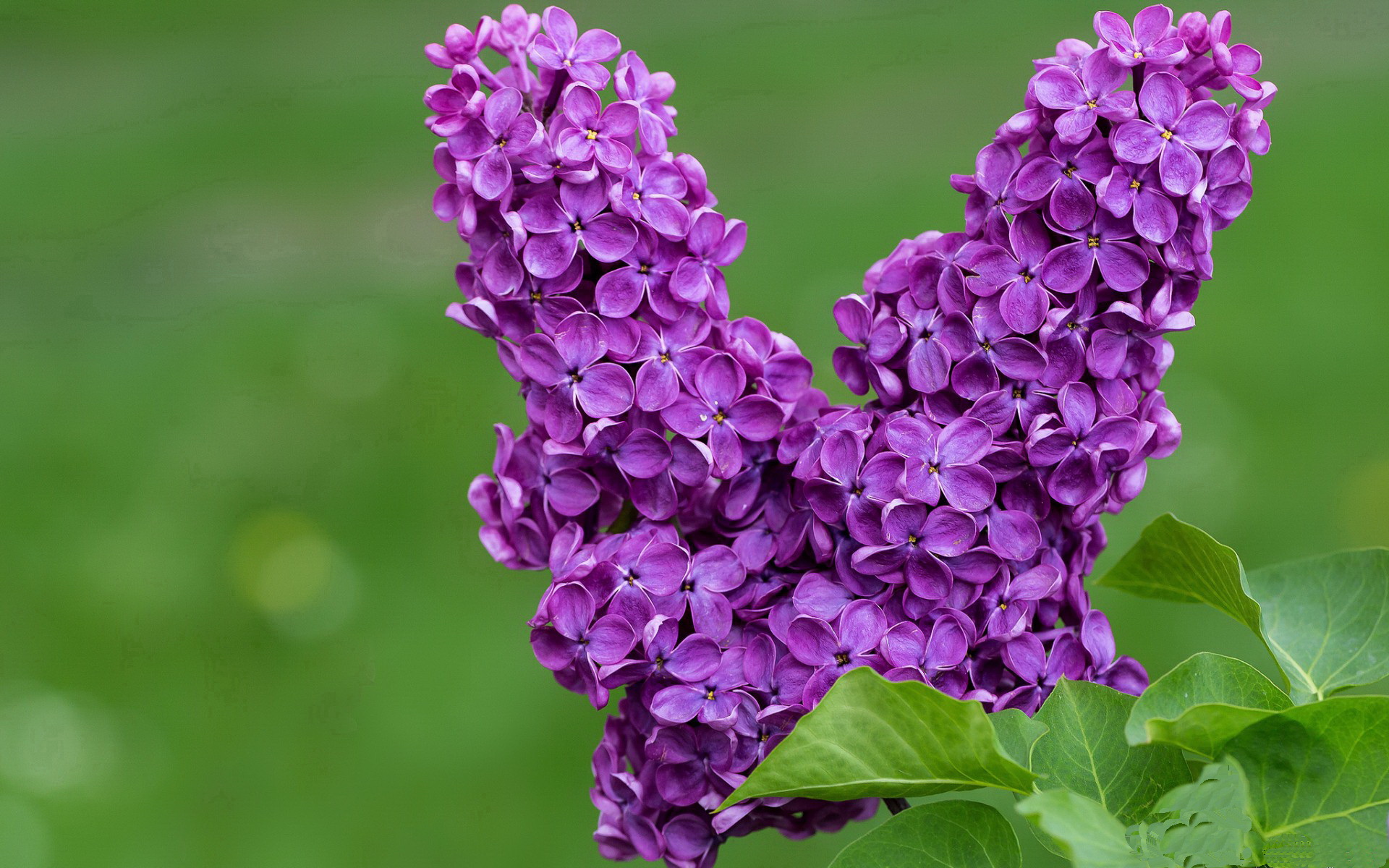 史上最激烈的“冠军争夺战”排行榜，冠军争夺战 综运动