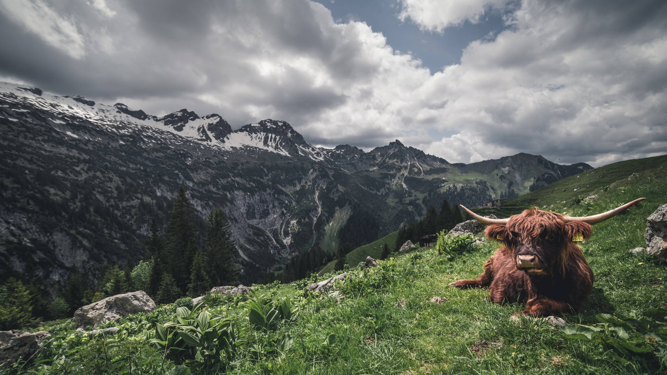kaiyun官方入口登录-星际争霸2“未来争霸”决赛火力全开，星光璀璨，星际争霸2比赛2020年视频